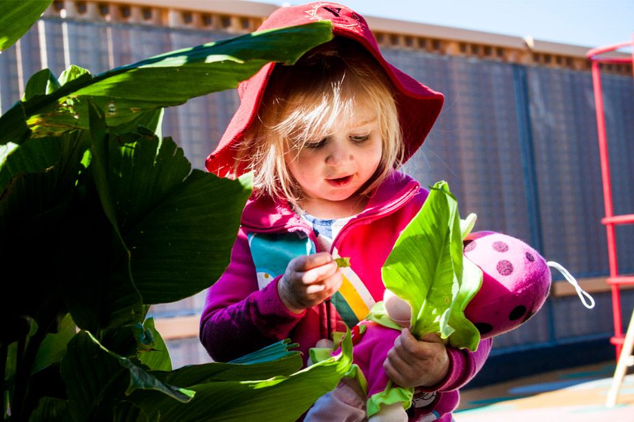 YMCA Child Care Centre Brisbane located in Sunshine Coast